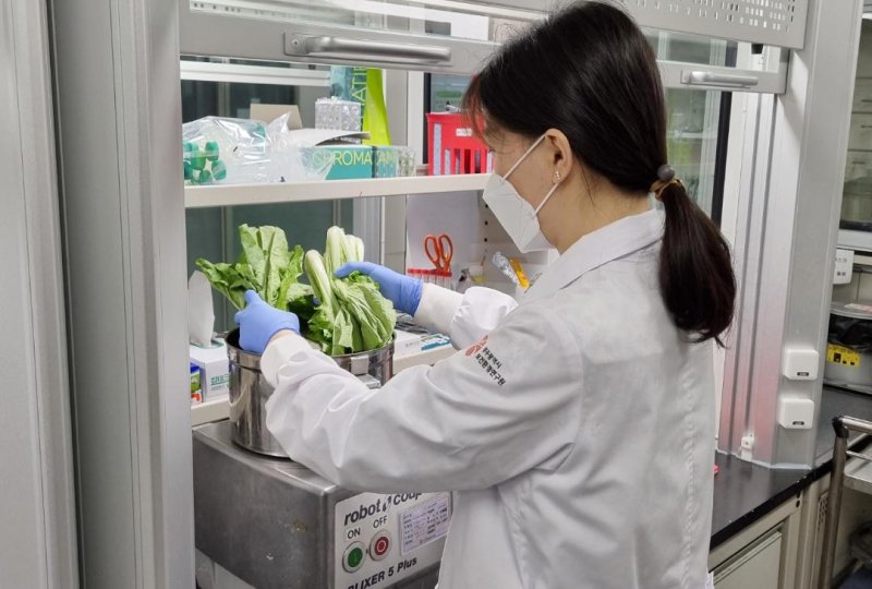 농산물 잔류농약 검사 자료사진. /뉴스1 ⓒ News1