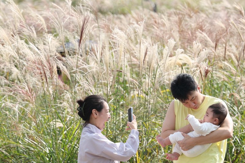 15일 서울 마포구 하늘공원에서 열린 서울억새축제에서 한 부부가 아이와 함께 추억을 남기고 있다. 이번 억새축제에는 오는 20일까지 열리며 축제 기간 중에는 오후 10시까지 하늘공원을 개방한다. 2023.10.15/뉴스1 ⓒ News1 신웅수 기자