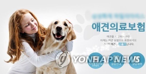 반려동물 보험 상품 [삼성화재 제공]