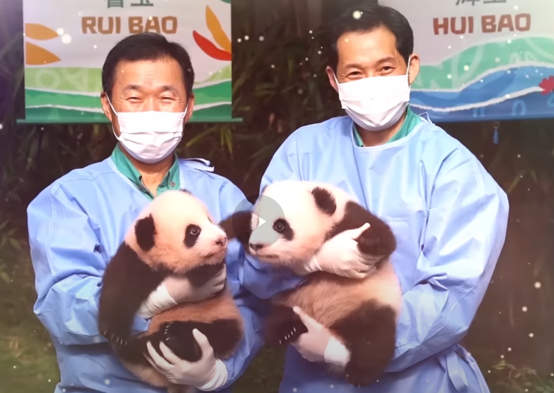 (왼쪽부터)에버랜드 강철원 사육사와 송영관 사육사. 사진=에버랜드 유튜브 채널