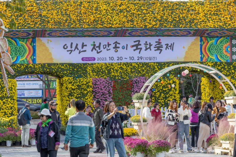 전북 익산 천만송이 국화축제 자료사진. 익산시 제공