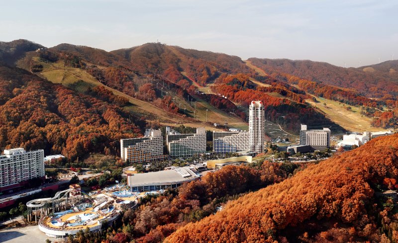 단풍이 든 휘닉스파크 전경.(사진=휘닉스파크 제공) *재판매 및 DB 금지