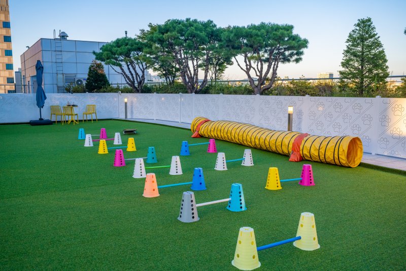 펠로덮인친구들 펫파크 목동점의 놀이기구(서울관광재단 제공)