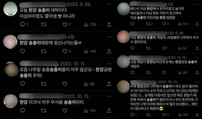 SNS에 올라온 한강 공원 내 미국흰불나방 유충 목격담 [엑스(X·옛 트위터) 캡처. 재판매 및 DB 금지]