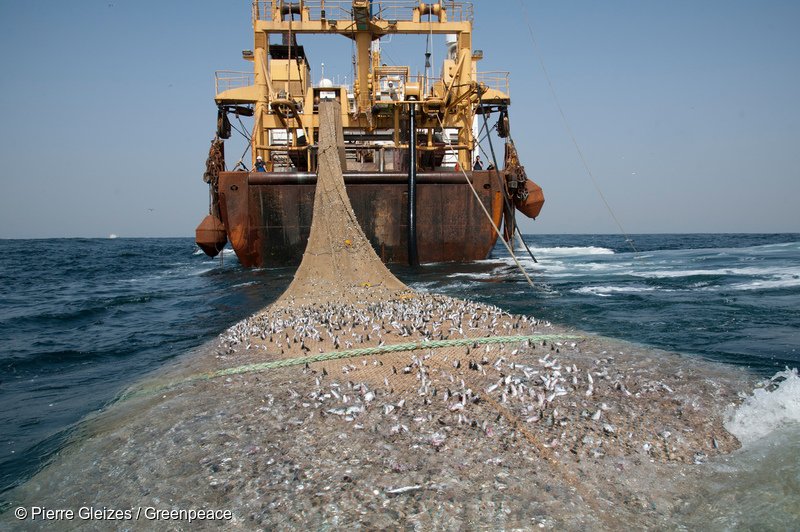 글로벌 해양조약이 실제로 발효될 때까지 남획과 파괴적인 어업은 무분별하게 행해지고 있다./뉴시스