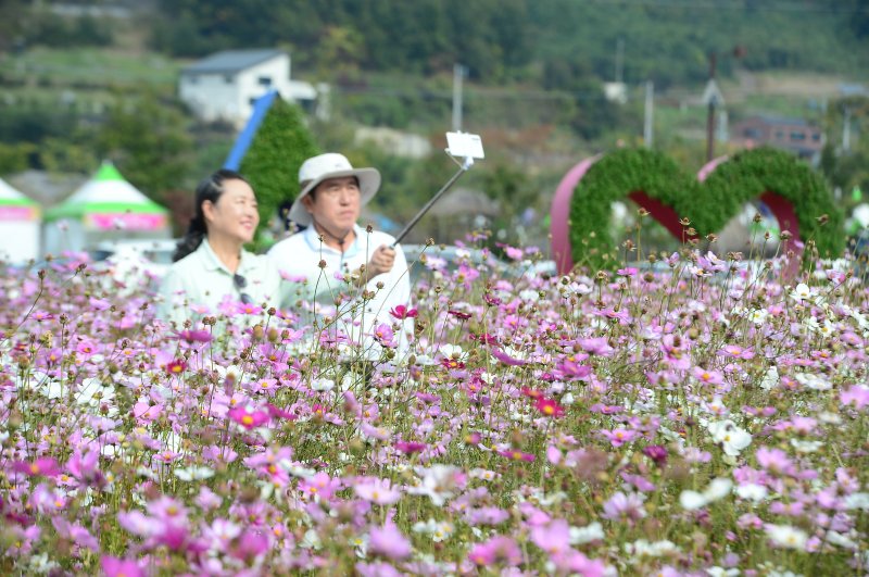 24일 전남 화순군 도곡면 일원에서 열리고 있는 2023 화순 고인돌 가을꽃축제 현장을 찾은 관람객들이 형형색색의 꽃들을 감상하고 있다. 2023.10.24/뉴스1 ⓒ News1 박지현 수습기자