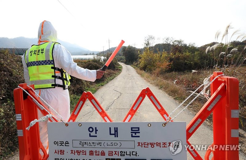 지난 24일 소 바이러스성 질병인 '럼피스킨병' 확진 판정을 받은 강원 양구군의 한 축산농가 입구를 방역 당국 관계자가 통제하고 있다.<div id='ad_body3' class='mbad_bottom' ></div> 연합뉴스