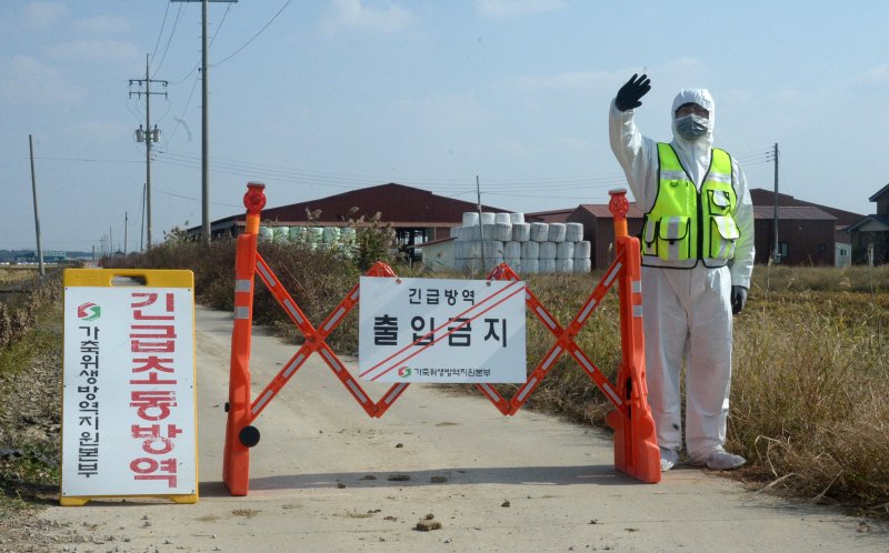 고창서 럼피스킨 의심 신고…전북도 정밀검사 의뢰