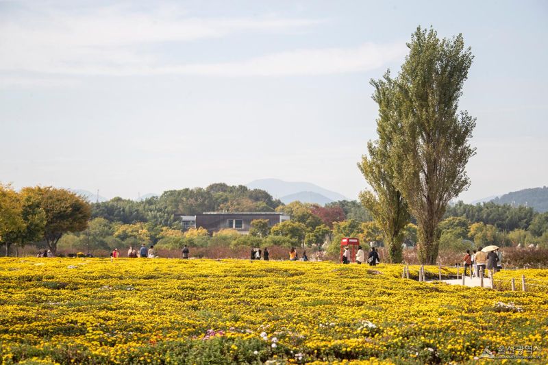 울산 태화강 국가정원. 울산시 제공