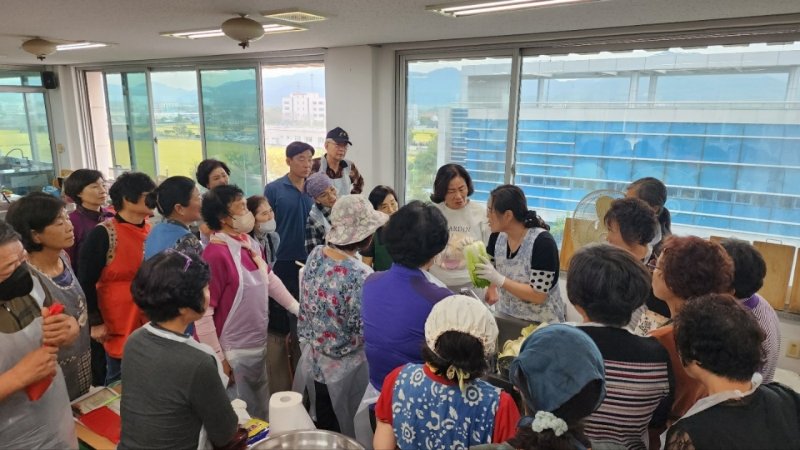 강진묵은지 담그기 과정. ⓒ News1