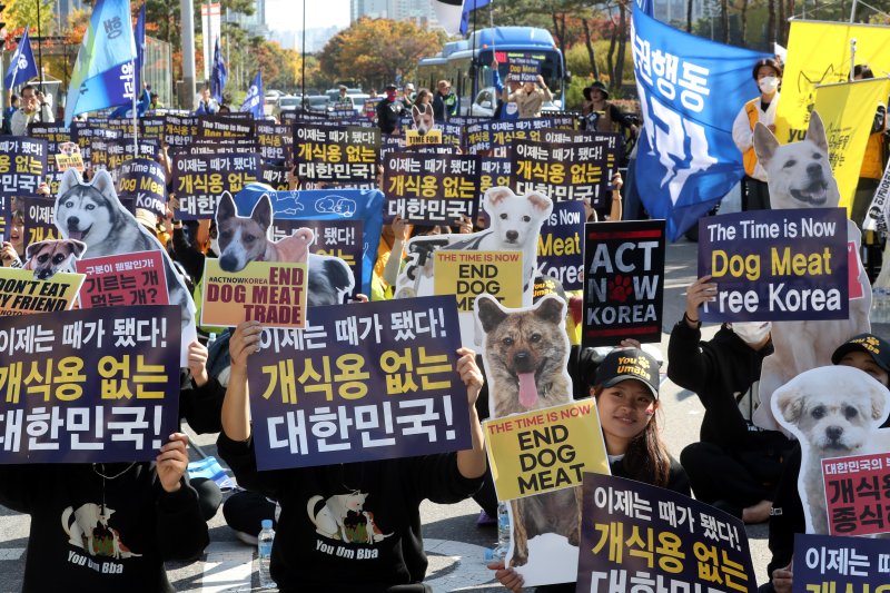 [서울=뉴시스] 조성봉 기자 = 29일 오후 서울 여의도 국회 앞에서 열린 '개 식용 금지법 제정 촉구' 집회에서 참가자들이 구호를 외치고 있다. 동물권 대국민연대는 공동선언문을 통해 “정부와 국회는 완전한 개식용종식을 위한 입법과 실행에 지금 당장 나서라”고 촉구했다. 2023.10.29. suncho21@newsis.com