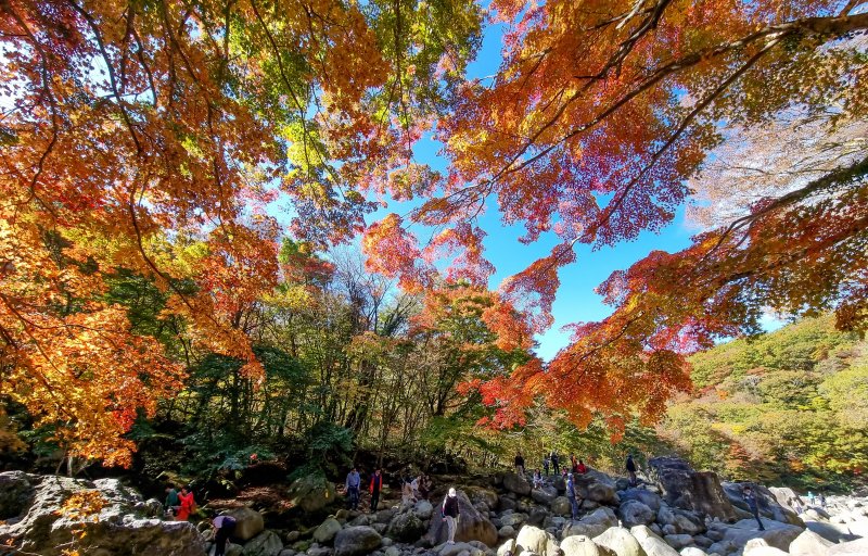 [제주=뉴시스] 우장호 기자 = 화창한 날씨를 보인 29일 오전 제주 한라산 천아계곡을 찾은 관광객들이 오색 단풍을 구경하며 깊어가는 가을을 만끽하고 있다. 2023.10.29. woo1223@newsis.com