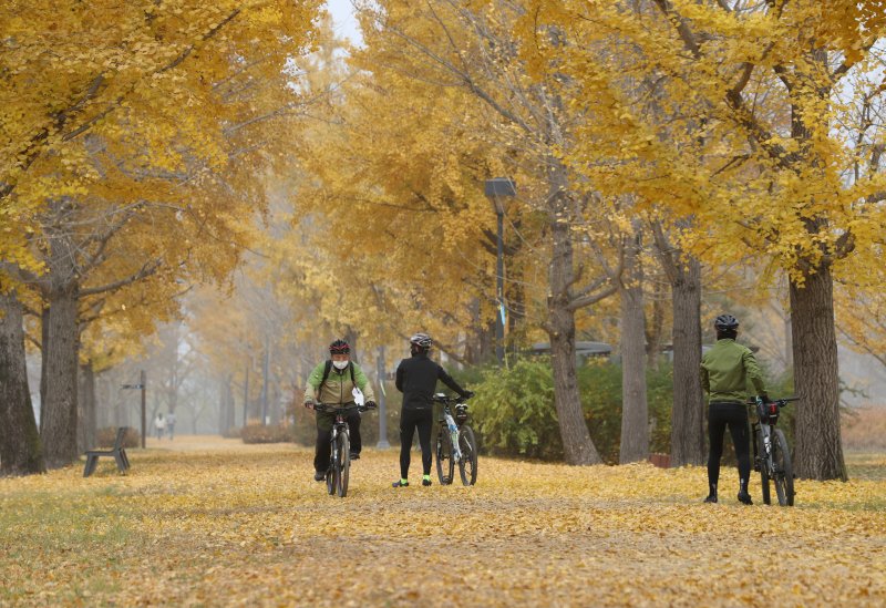 “아름다운 섬, 행복한 섬, 강천섬으로 떠나자!” - 파이낸셜뉴스