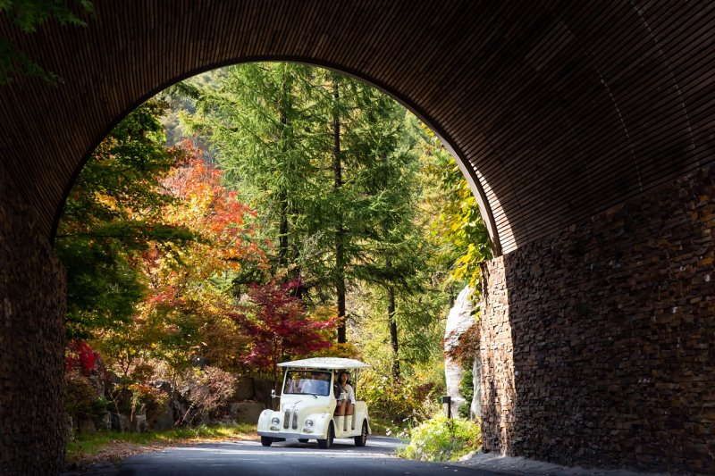 충북 제천시 '포레스트 리솜'의 '빙글빙글 카트 탐험' *재판매 및 DB 금지