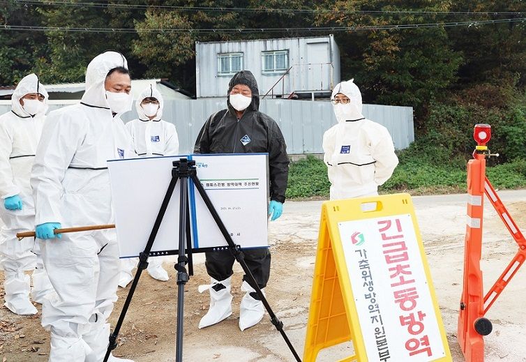 김경일 파주시장이 파주시 탄현면 금승리 소재 사육농가의 살처분 매몰작업 현장을 방문해 현황을 파악하고 있다. /파주시 제공