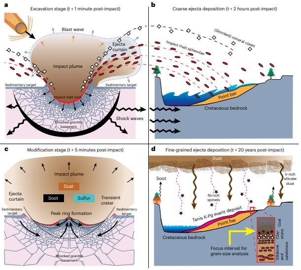 칙술루브 소행성 충돌과 충돌 파편·먼지 생성 및 퇴적 과정 멕시코 유카탄반도 칙술루브에 소행성이 충돌한 후 파편과 미세한 분출물이 생성되는 모습(a : 충돌 1분 이내, c : 충돌 5분 이후)과 파편 및 미세먼지가 미국 노스다코타주 타니스 지층에 떨어져 쌓이는 모습(b:충돌 2시간 이내, d:충돌 20년 이내) [Cem Berk Senel et al./Nature Geoscience 제공.재판매 및 DB 금지]