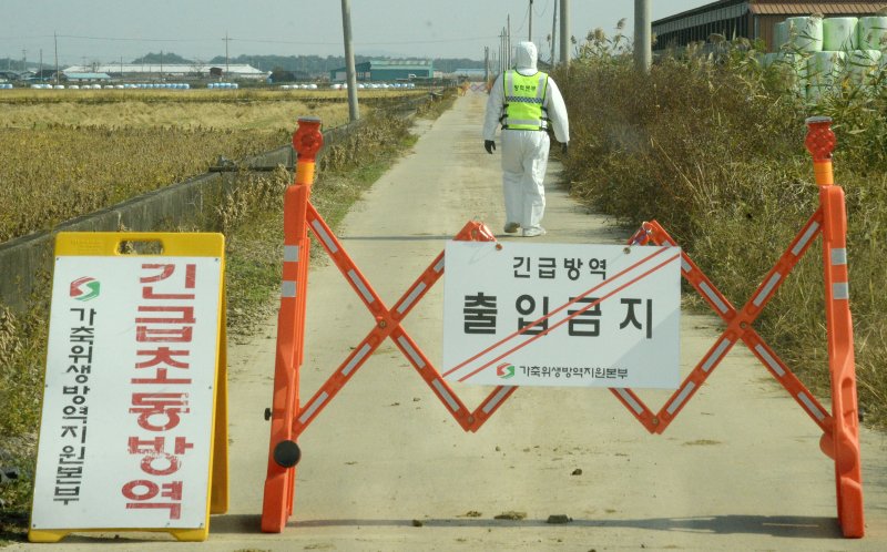 럼피스킨병 방역 통제 자료사진. 뉴시스