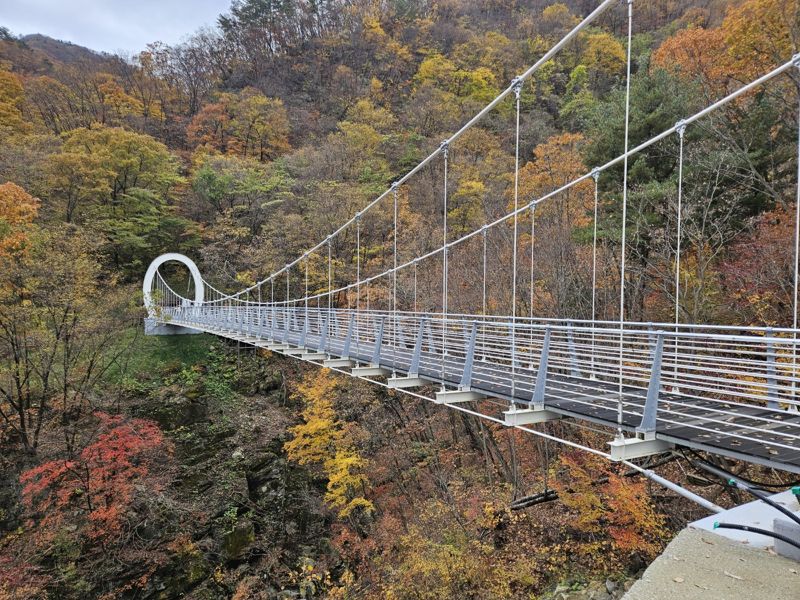 명지산 하늘 구림다리. /가평군 제공