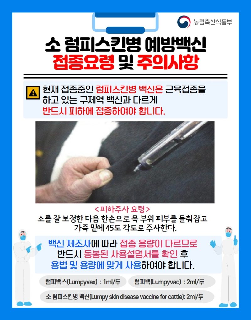 소 럼피스킨병 예방백신 접종요령 및 주의사항 포스터. 뉴시스