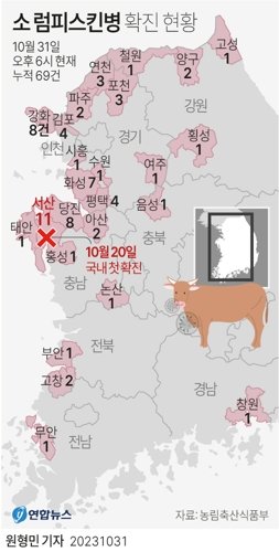 [그래픽] 소 럼피스킨병 확진 현황(종합) (서울=연합뉴스) 원형민 기자 = 국내 소 럼피스킨병 확진 사례가 31일 모두 69건으로 늘었다. 럼피스킨병 중앙사고수습본부(중수본)는 지난 20일부터 전날까지 모두 67건이 확진됐고, 이날 오후 6시 기준 인천 강화와 전북 고창에서 2건이 추가됐다고 밝혔다. circlemin@yna.co.kr 페이스북 tuney.kr/LeYN1 트위터 @yonhap_graphics (끝) <저작권자(c) 연합뉴스, 무단 전재-재배포 금지> /사진=연합 지면화상