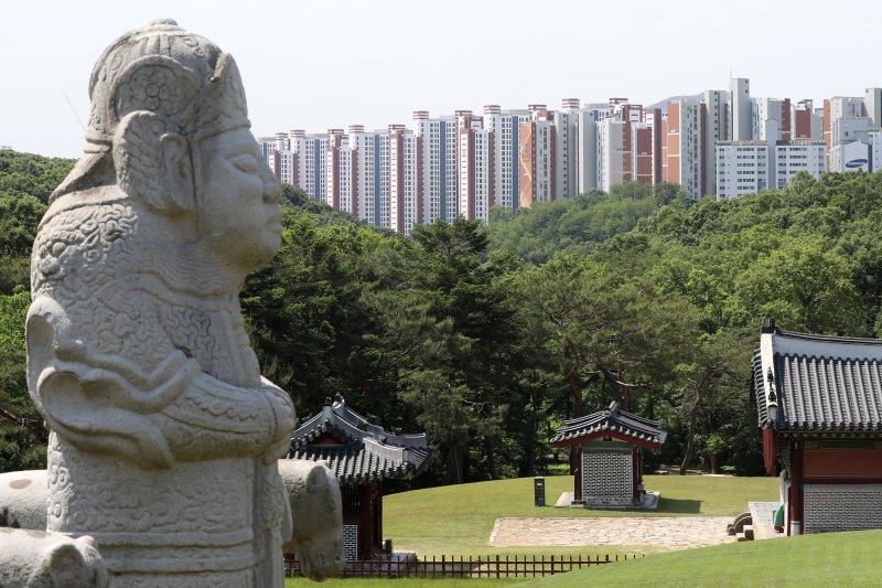 김포 장릉에서 바라본 '왕릉뷰 아파트' /사진=뉴스1