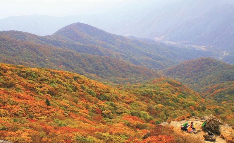 전남 광양시가 가을로 아름답게 물들어 가는 11월을 맞아 지역 명산인 백운산에 가야 할 5가지 이유를 소개해 눈길을 끈다. 사진은 백운산 가을 전경.광양시 제공