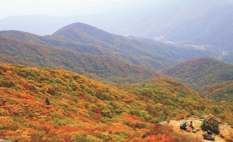 [남도둘러보기]11월 광양 백운산에 가야하는 까닭은