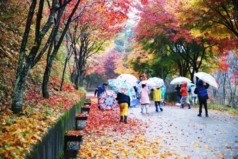 백운산 가을 전경