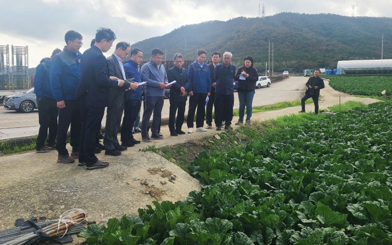 홍두선 기획재정부 차관보(앞줄 왼쪽 세번째)가 6일 전남 해남군 배추밭과 진도군 대파밭을 방문하여 배추·대파 생육 상태와 출하 계획을 점검하고 있다. 기획재정부 사진 제공