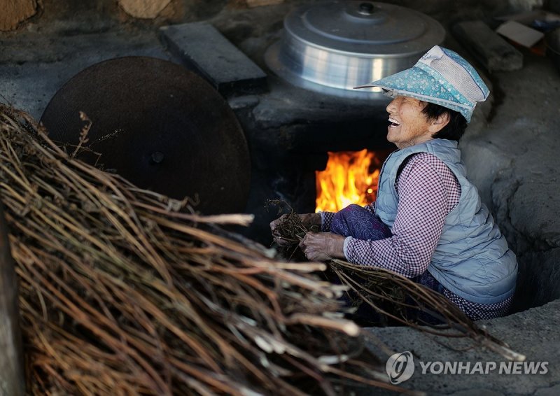 [사진톡톡] 겨울이 오는 풍경…아궁이 불 피우는 마을 입동…겨울 풍경 (밀양=연합뉴스) 김동민 기자 = 절기 '입동'인 8일 경남 밀양시 부북면 용포마을 구옥이(89) 씨 댁에서 구 씨가 아궁이에 들깨대로 불을 피우고 있다. 이날 밀양지역 기온은 2도에서 18도를 나타냈다. 2023.11.8 image@yna.co.kr (끝)