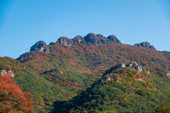 늦가을이 내게 손짓하네···붉게 美친 날 보러 와주오 [Weekend 레저]