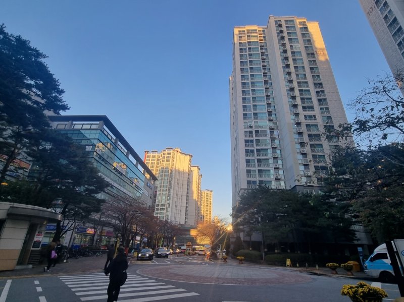 서울 강남구 도곡동 한 아파트 단지. 사진은 기사와 관계 없음. 2023. 11. 7/뉴스1 최서윤 기자