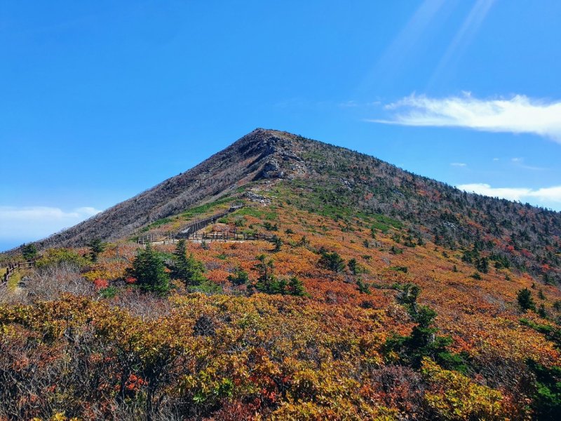 '산불 막아라' 국립공원 탐방로 120곳 통제...인화물질 적발시 과태료