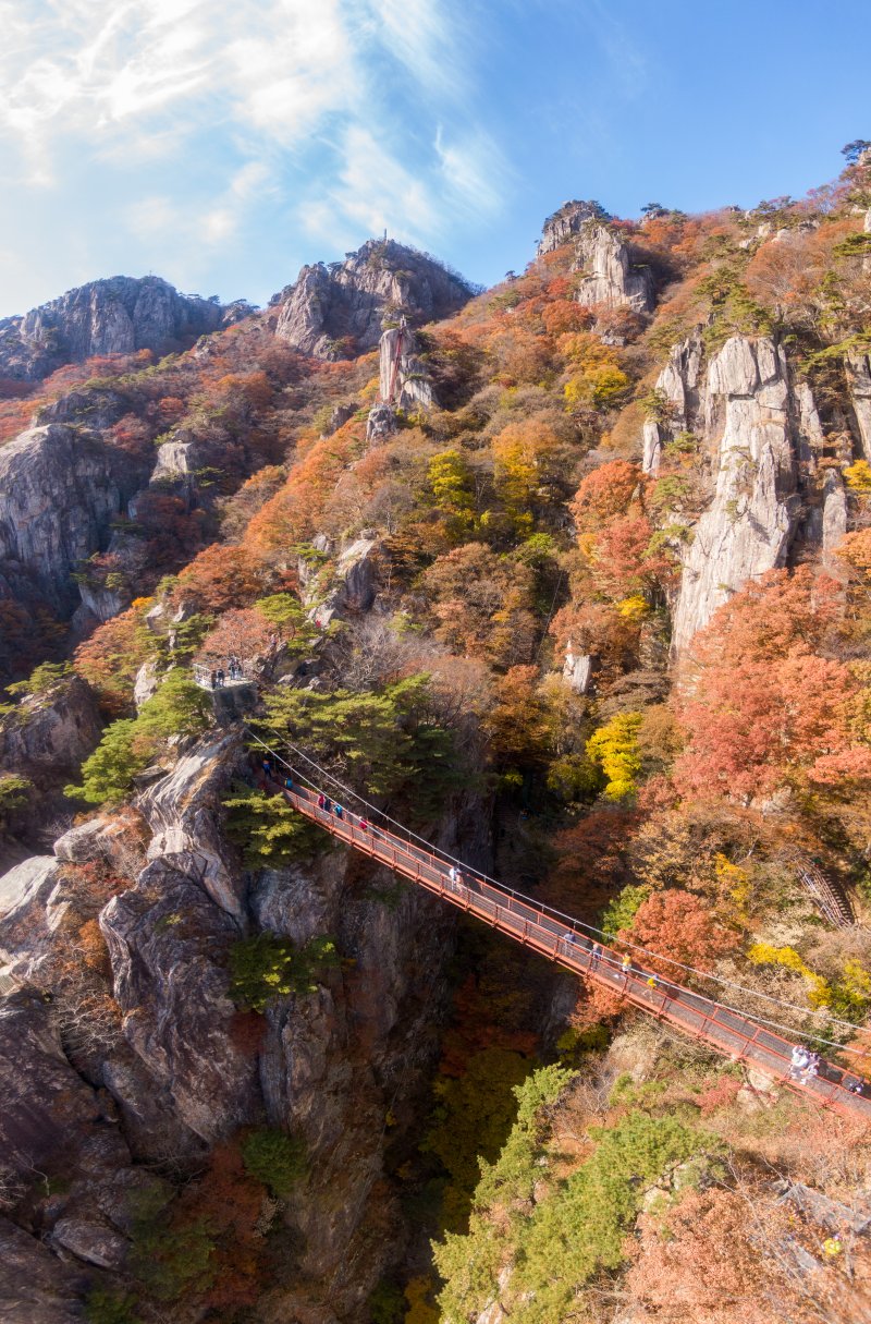 대둔산은 곳곳에 드러난 화강암반이 기암괴석을 이루고 있고, 빼곡한 숲이 첩첩으로 쌓여 있어 예로부터 호남의 금강산으로 불린 곳이다. 최근 방영된 MBC 예능 '나 혼자 산다'에 소개돼 온라인에서도 큰 화제가 됐다.