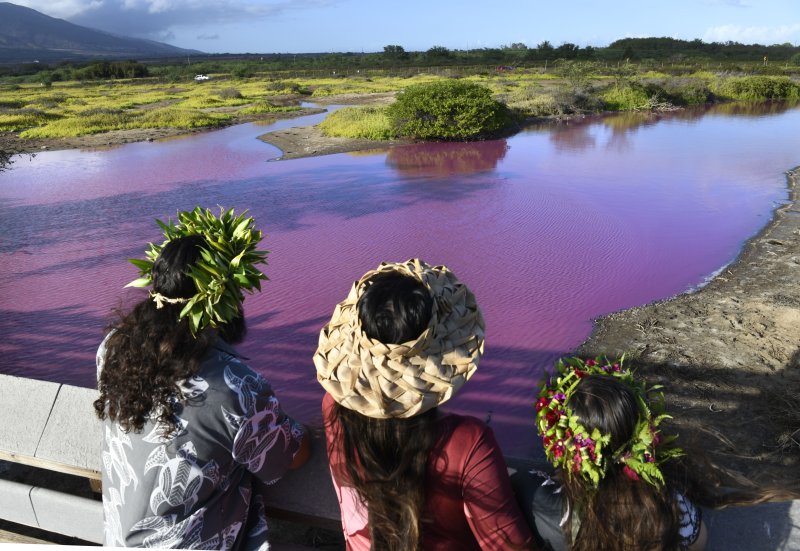지난 8일(현지시각) 미 하와이주 마우이섬 키헤이의 케알리아 연못 야생동물 보호구역 내에서 한 가족이 분홍색으로 변한 케알리아 연못을 바라보고 있다. 관계자들은 연못이 분홍색으로 변한 이유를 조사하고 있으며 가뭄이 원인일 수도 있다고 밝혔다. AP뉴시스