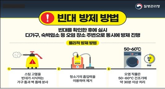 빈대를 발견하면 고열의 증기를 빈대 서식 장소에 분사하거나 진공청소기로 오염 지역을 청소 후 폐기해야 한다./ⓒ 뉴스1 (질병관리청 제공) /사진=뉴스1