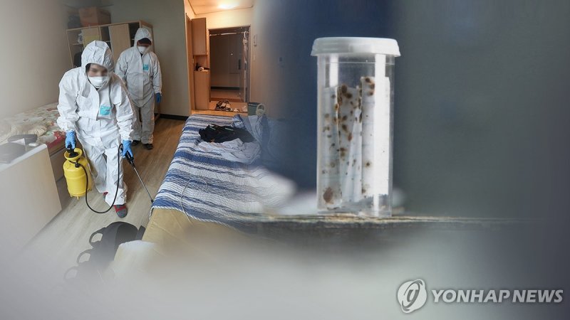 빈대 OUT! 올바른 빈대 예방·대응법은?