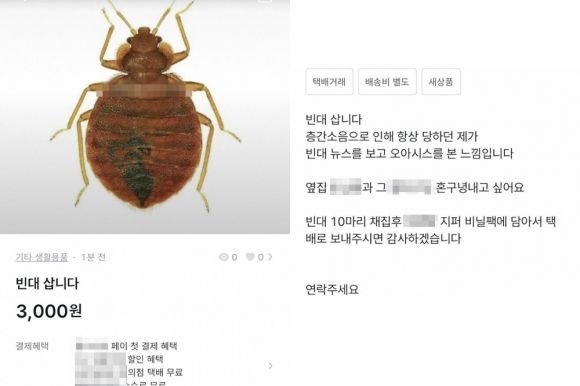 "빈대 10마리 3000원에 삽니다"..구매 희망글 올린 충격 이유