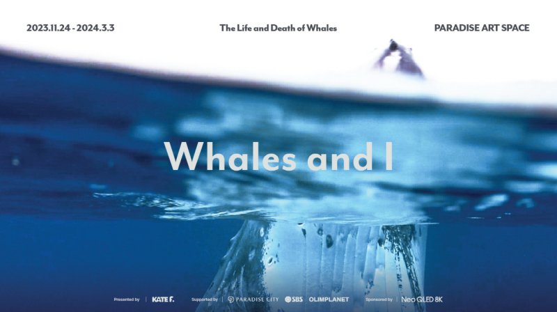 'Whales and I: 고래와 나'展