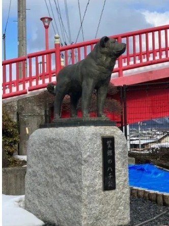 아키타현 오타테시에 서 있는 하치코 동상. 공동취재단