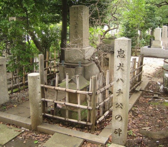 도쿄 아오야마 묘지에 있는 우에다 에이자부로 도쿄대 교수의 무덤. 오른쪽에 그의 충견 하치의 기념비가 세워져 있다. 시부야구 향토박물관 제공