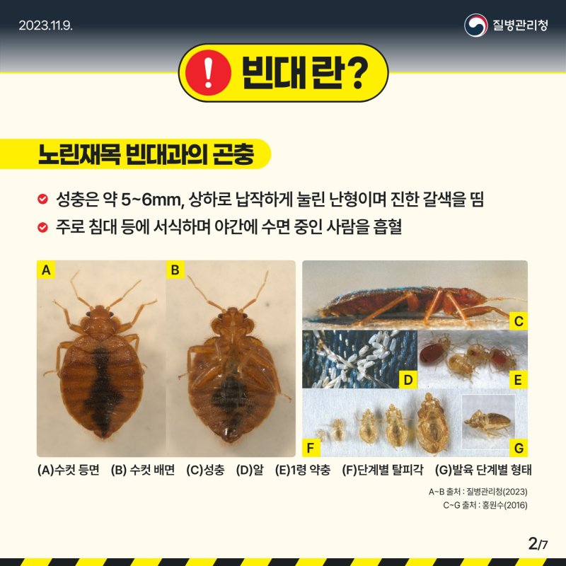 수원시에서도 빈대 발생 확인, '빈대 신고센터 운영'