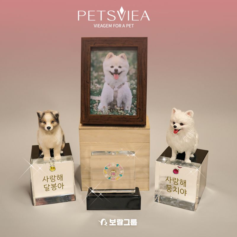 보람그룹 비아생명공학이 선보인 ‘펫츠비아’ 상품. 보람그룹 제공