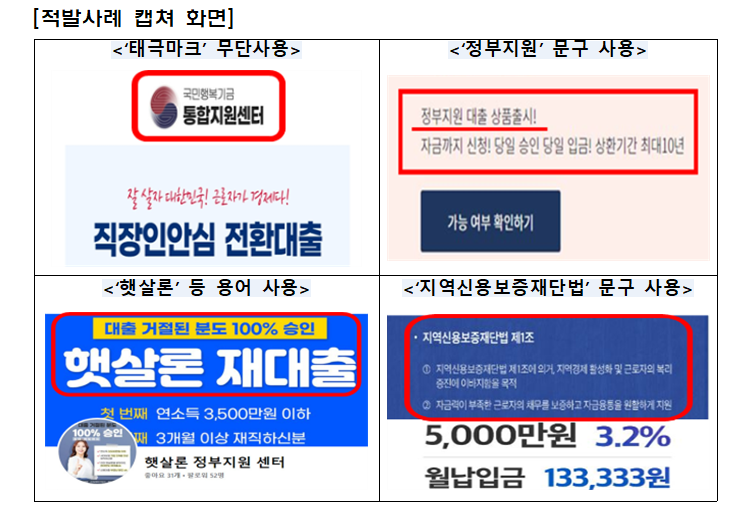 정부사칭 불법 사이트 적발 사례. 금융감독원 제공