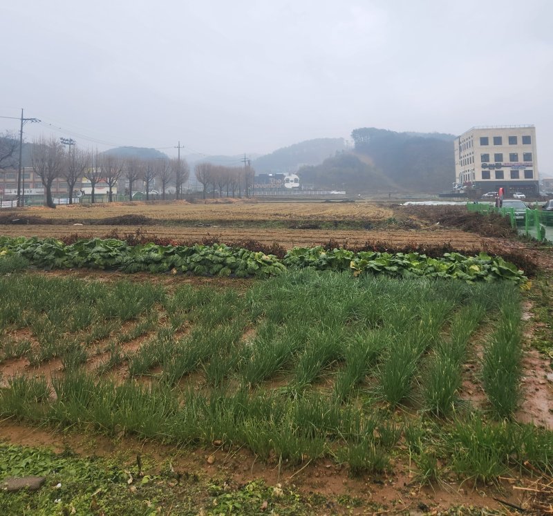 경기 용인이동지구에 위치한 농지 사진=성석우 기자