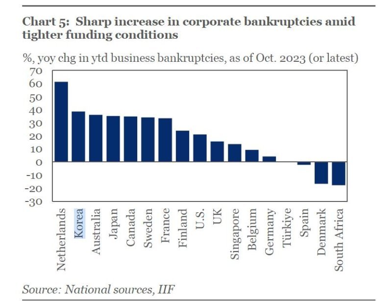 주요 17개국 기업 부도 수 증가율 비교/사진=국제금융협회(IIF) 보고서 캡처