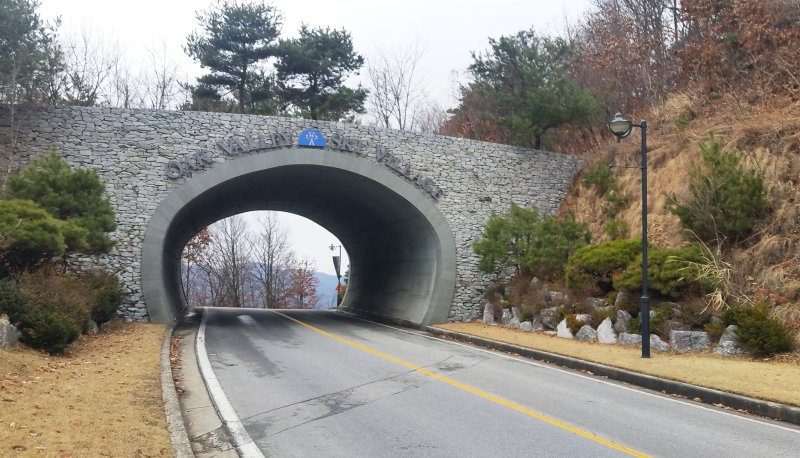 로드킬 줄이고 야생동물 이동 쉽게…환경부, 생태통로 지침 개정 - 파이낸셜뉴스