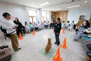 Young등포에 young한 청소년들 모였네...'영등포 진로탐색 페어'[fn영상]