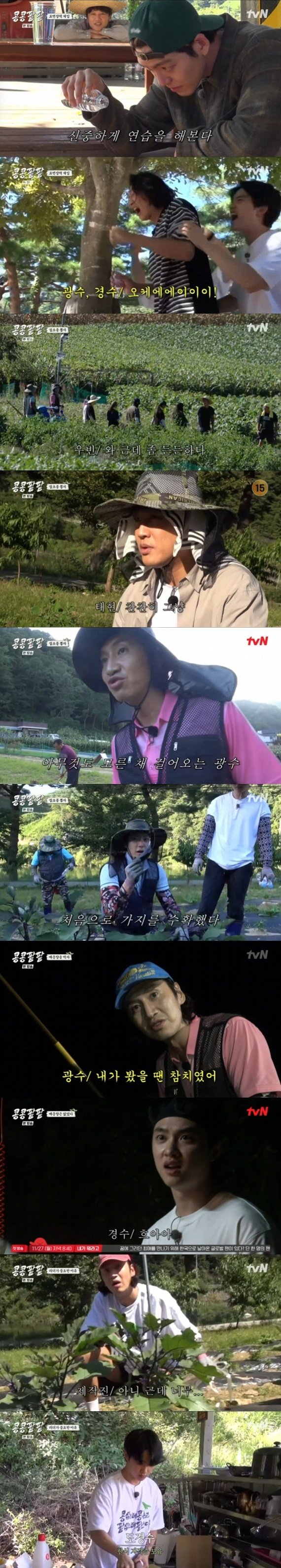 tvN '콩콩팥팥' 캡처