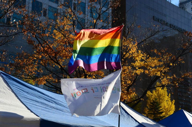 25일 창원시 성산구 중앙대로에서 열린 퀴어문화축제에서 성소수자를 상징하는 무지개 깃발이 휘날리고 있다. 2023.11.25 ⓒ 뉴스1 박민석 기자